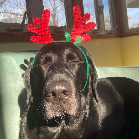 Meet your Posher, Alexandria - Picture 1 of 1